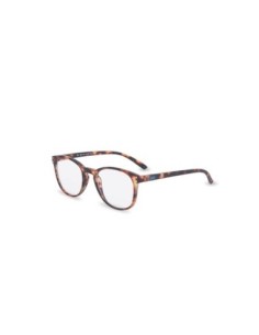 GAFA PRESBICIA ESPECIAL PANTALLAS  CAREY  1,00