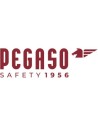 PEGASO